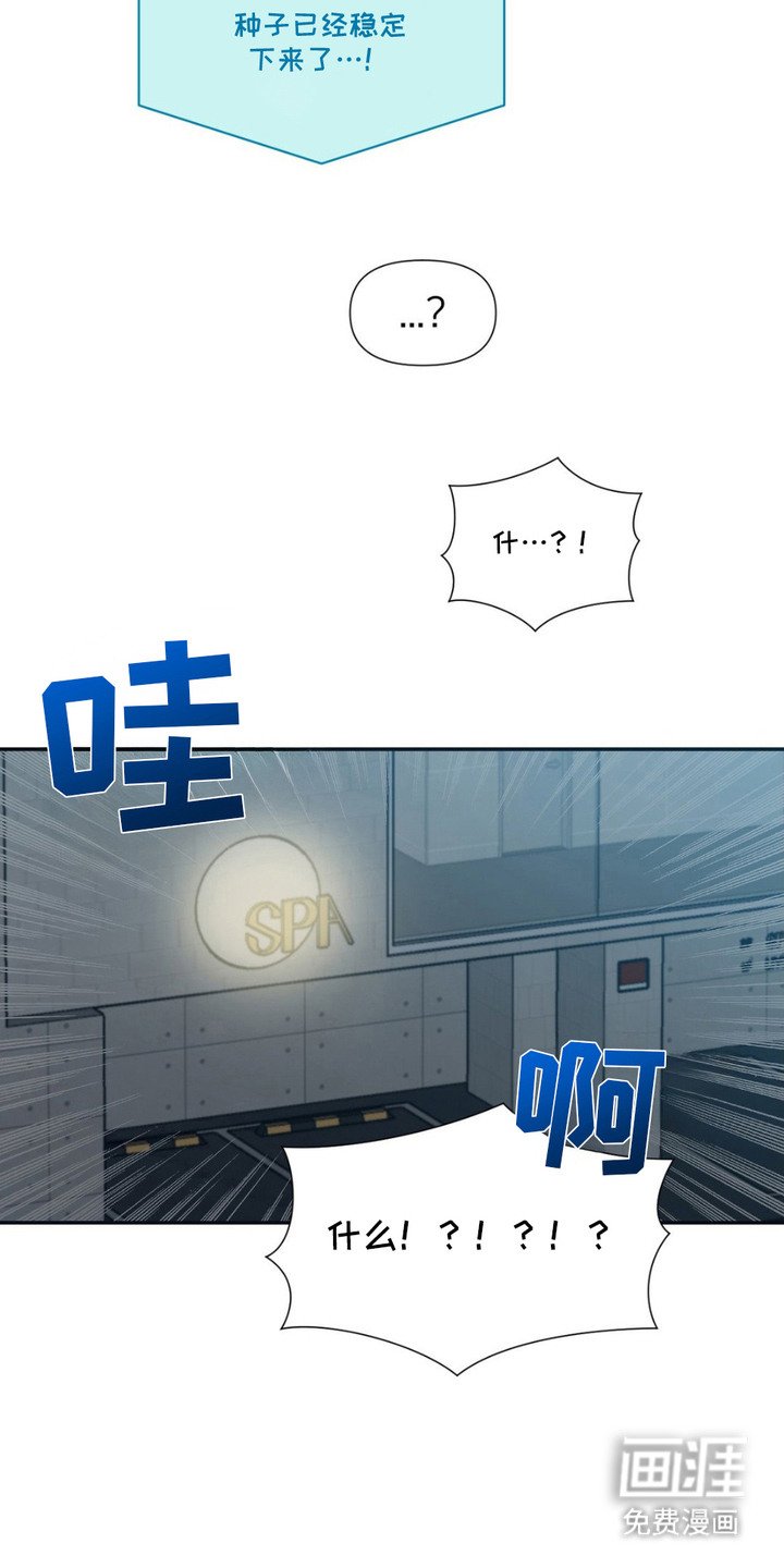 第7章：稳定下来