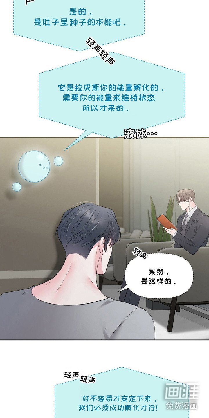 第7章：稳定下来