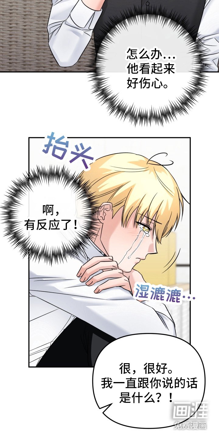 第13章：开导机器人