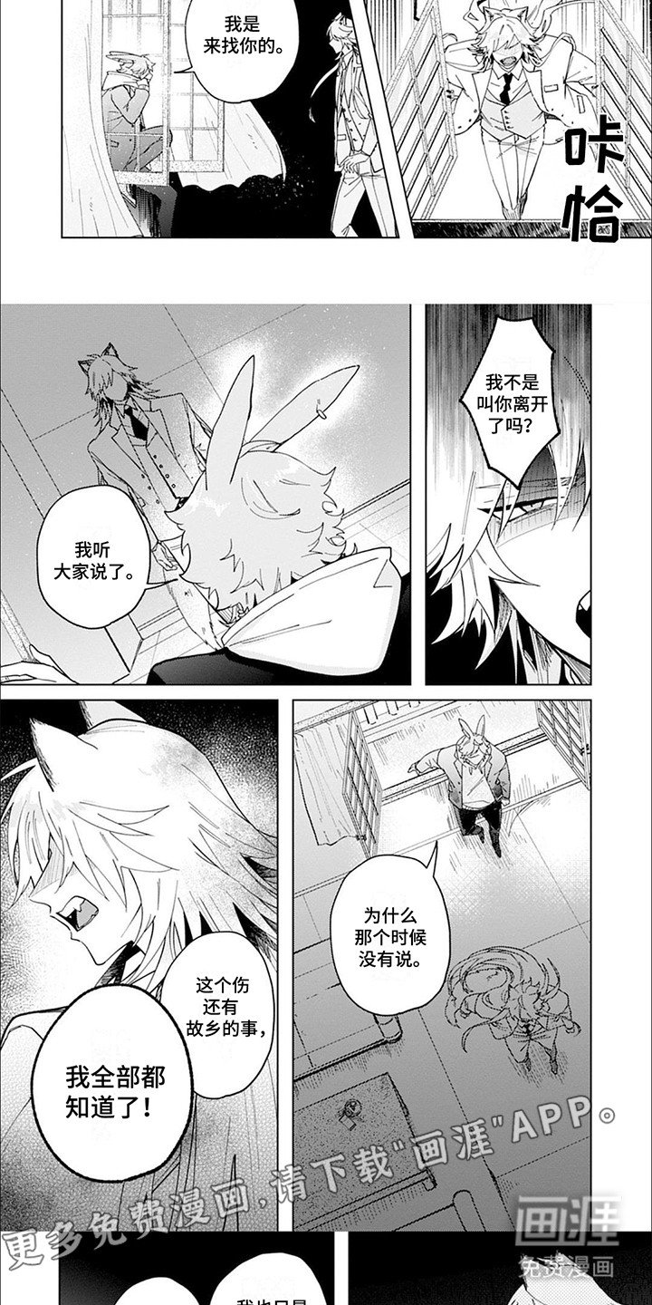 第11章：真相