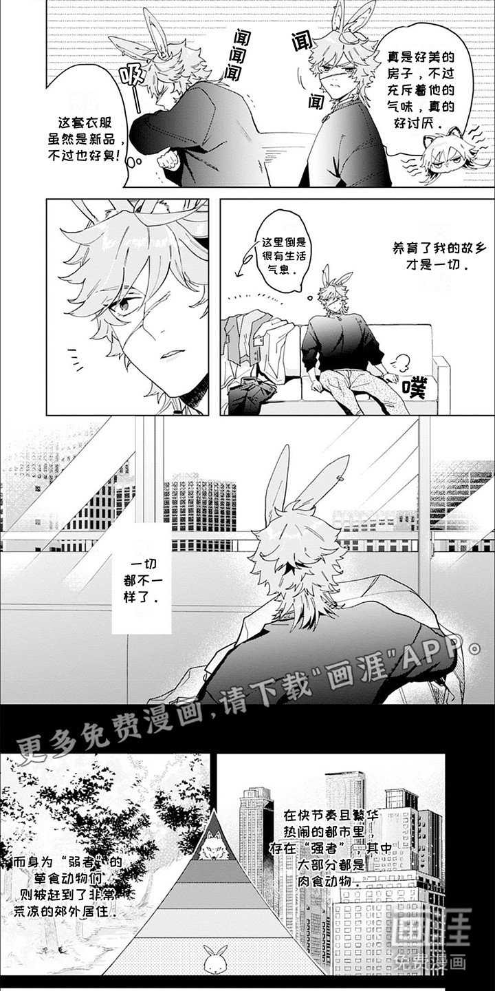第3章：理由