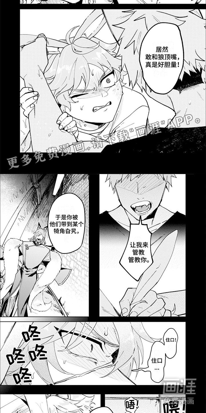 第8章：伤疤
