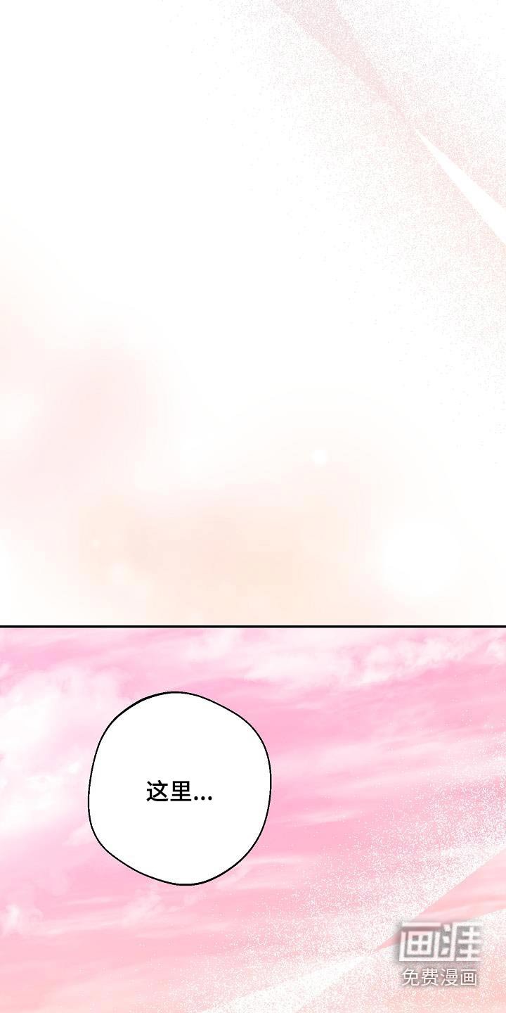 第23章：我的梦