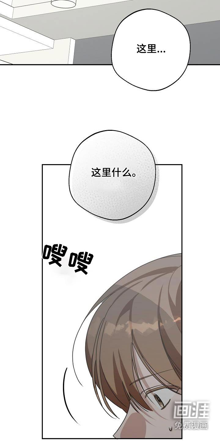 第23章：我的梦