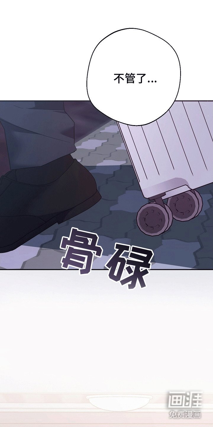 第3章：见面