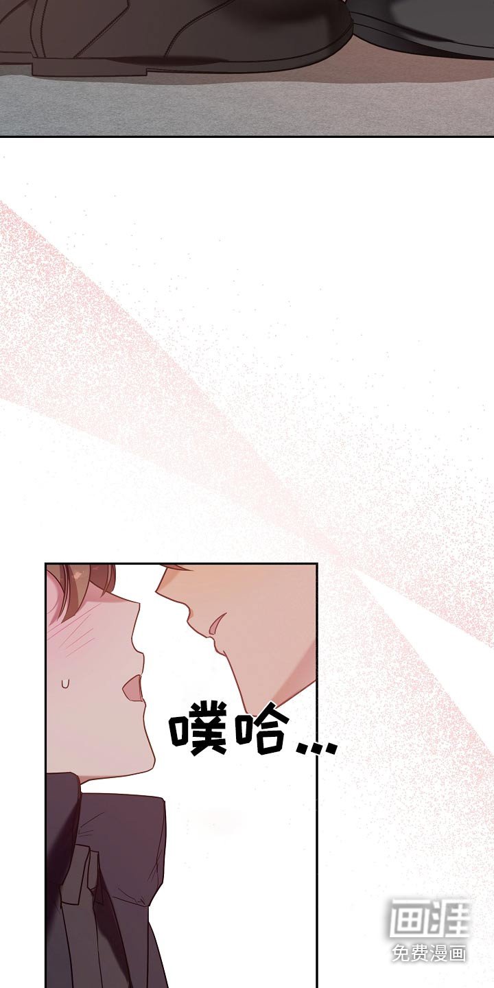 第30章：训练开始