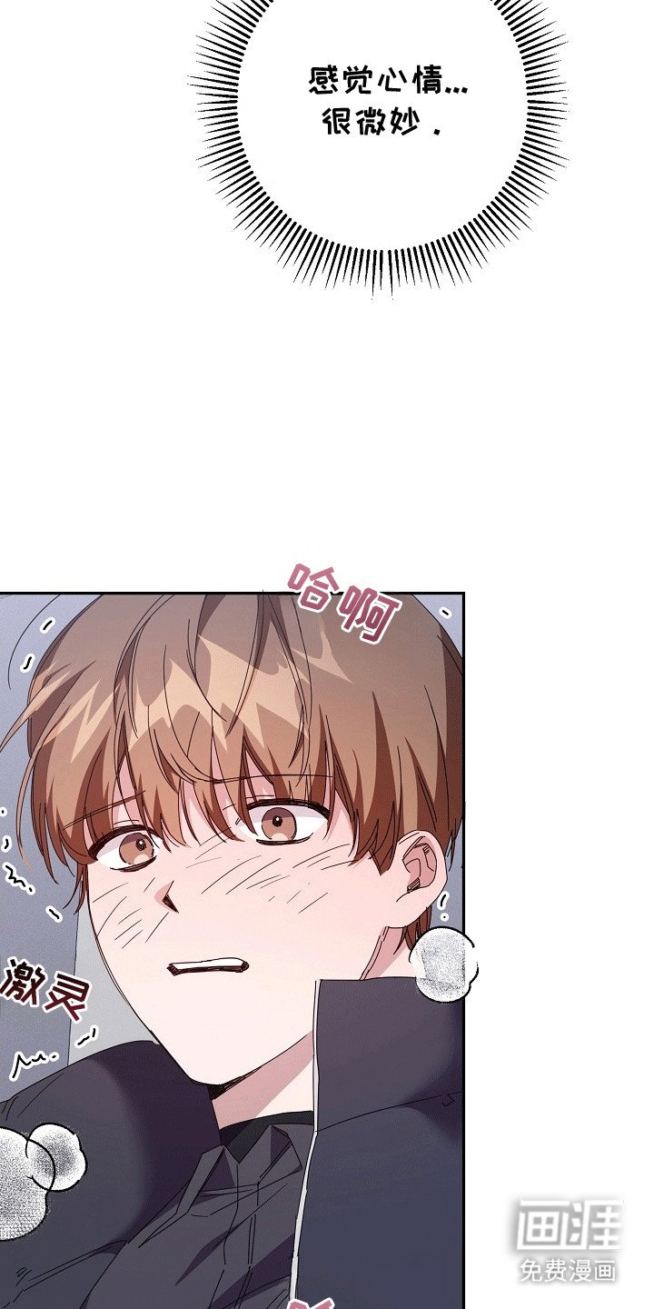 第5章：测试