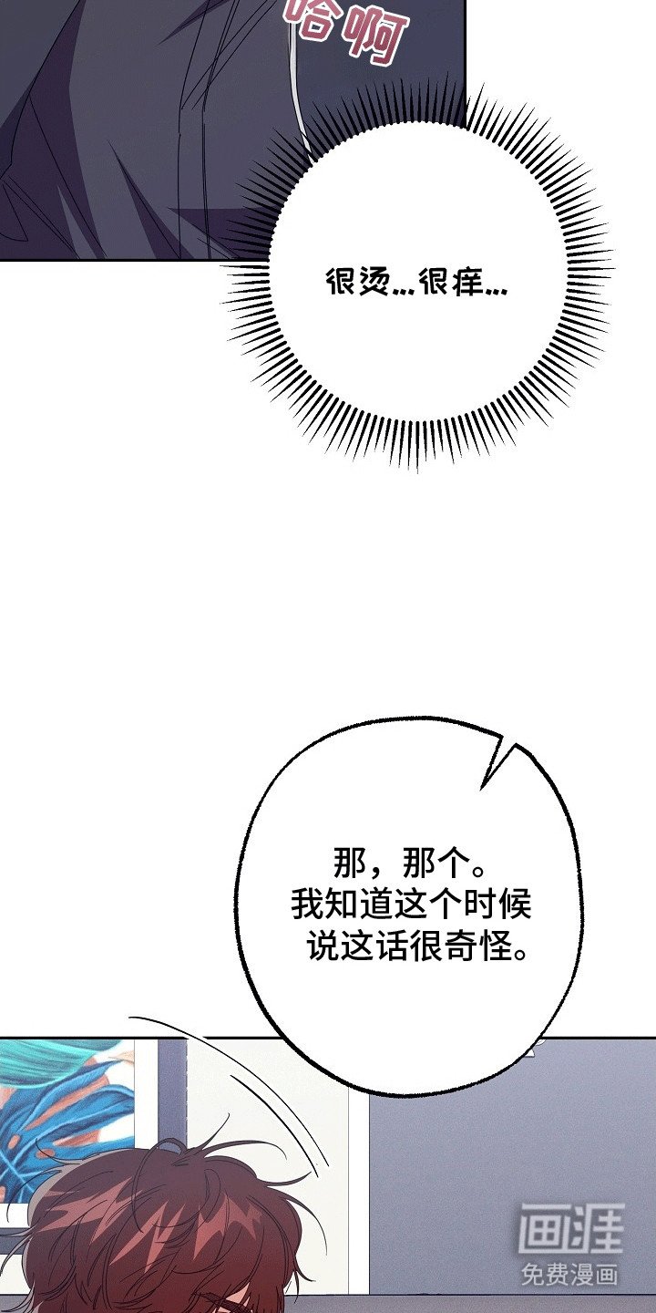 第5章：测试