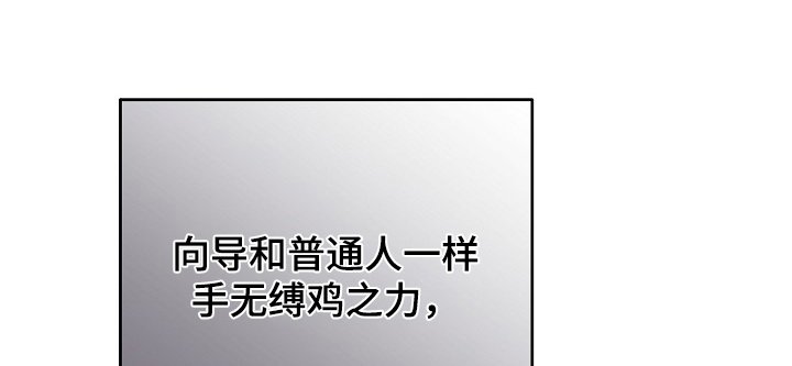 第52章：怎么回事