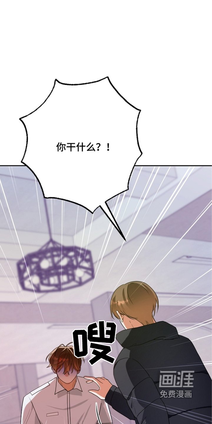 第61章：你疯了嘛