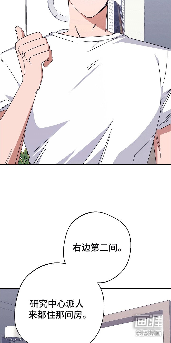 第7章：和平共处