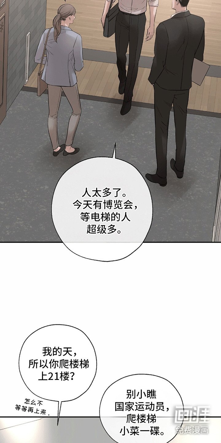 第15章：正式见面