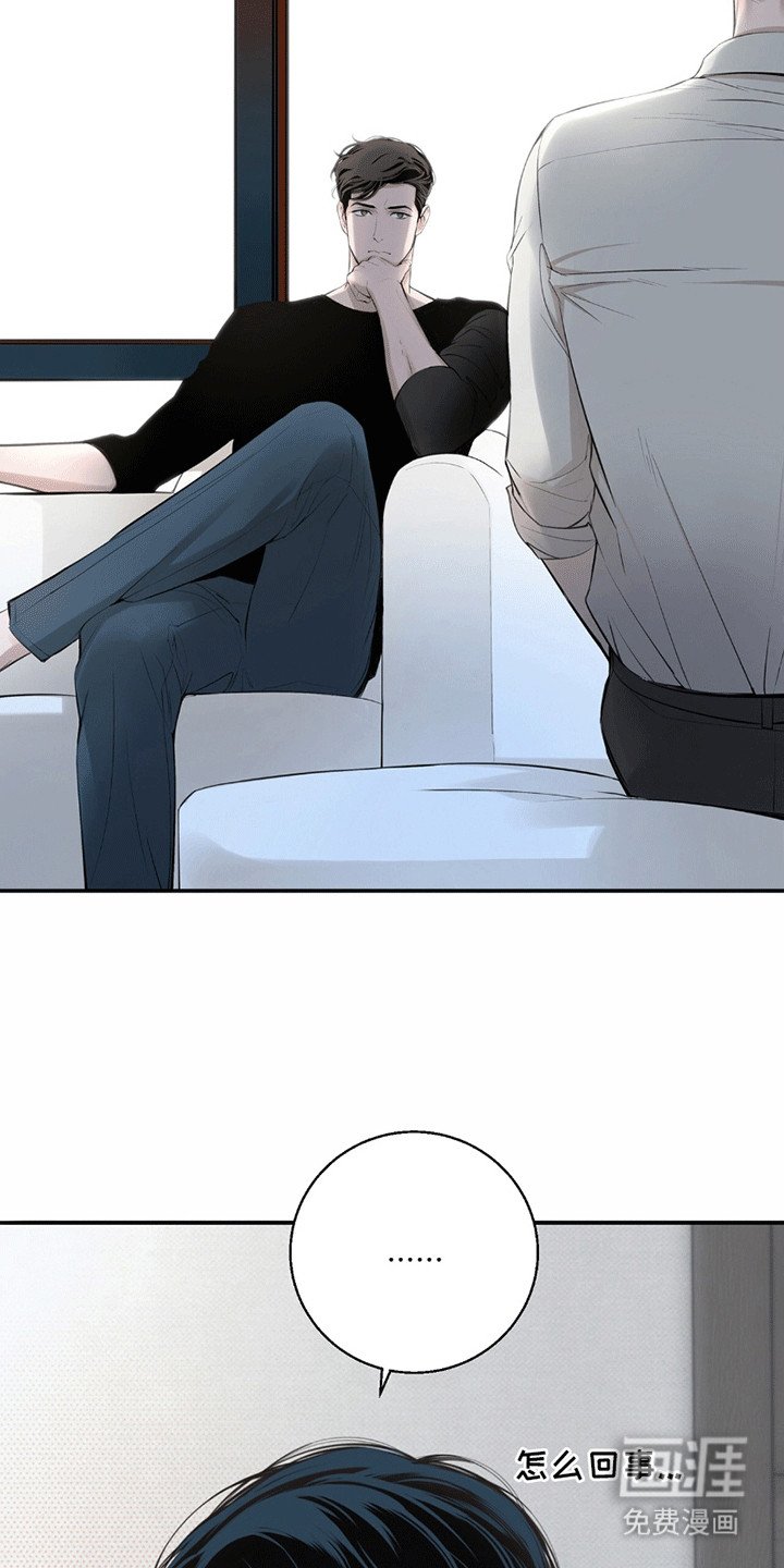 第17章：看不透