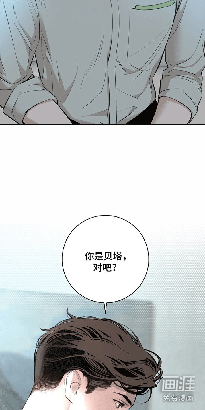 第17章：看不透
