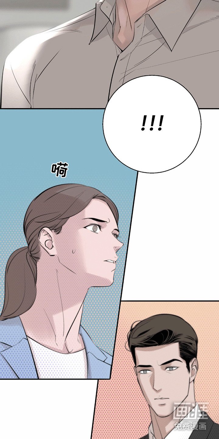 第17章：看不透