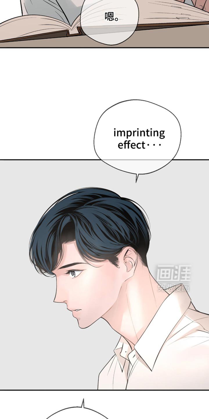 第22章：标记效果