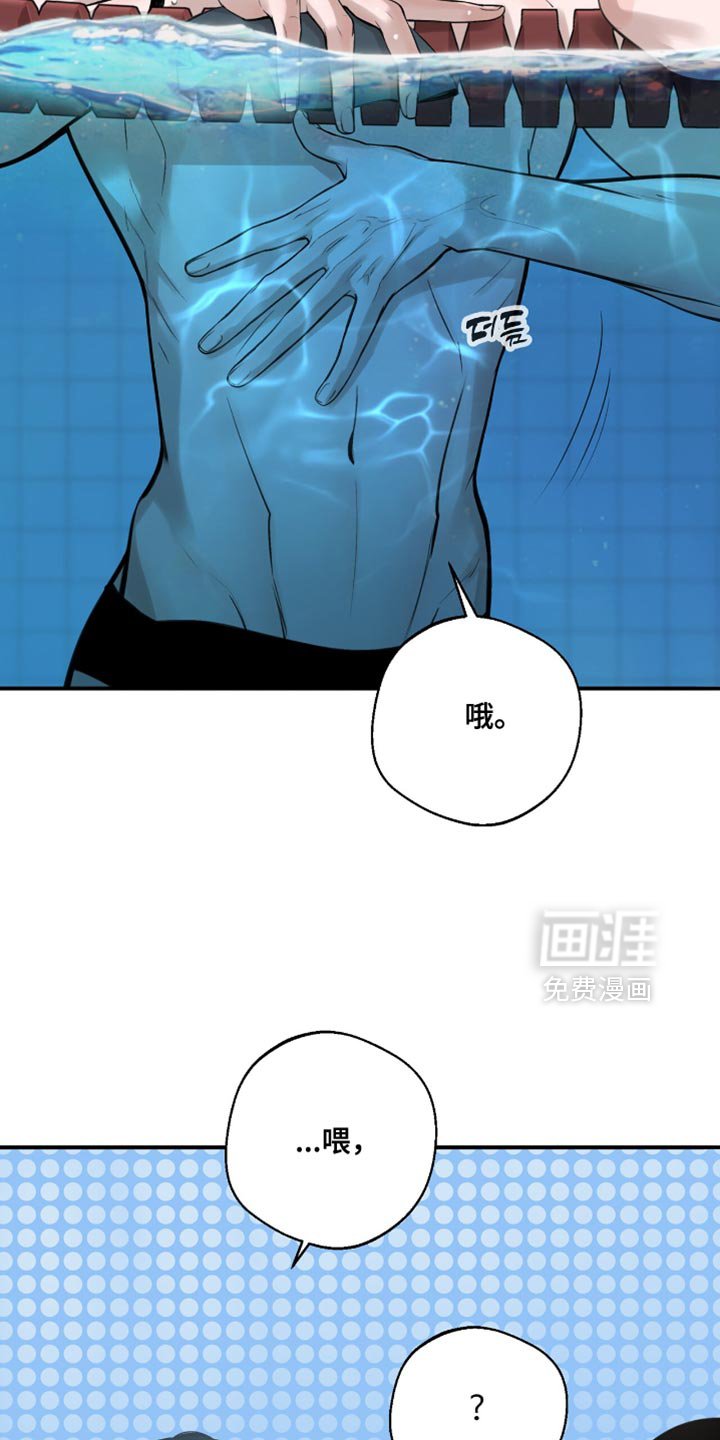 第43章：一直都想告诉你