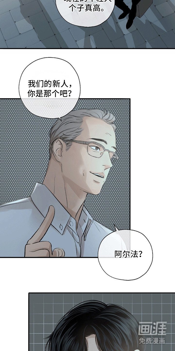 第5章：依然美好