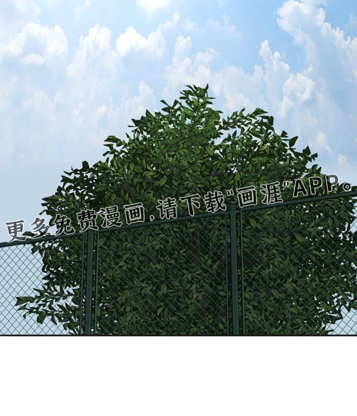 第54章：亲口说的吗？