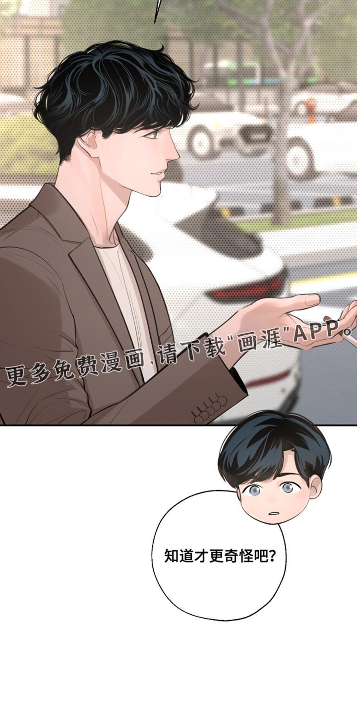 第55章：挑衅