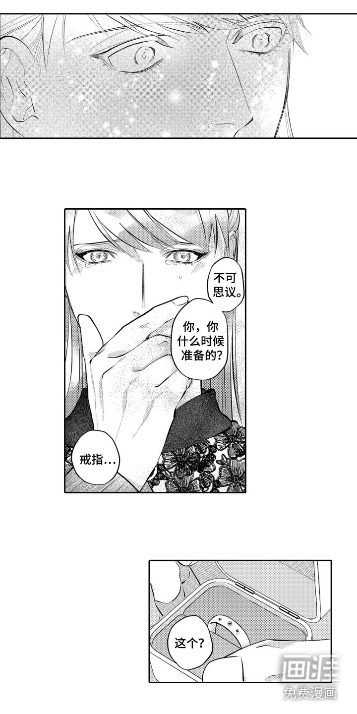 第21章：求婚（完结）