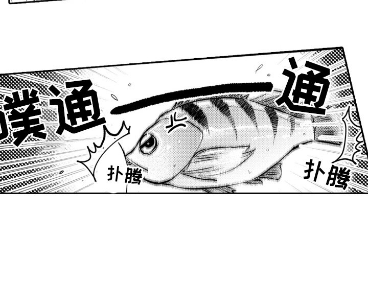 第8章：游艇