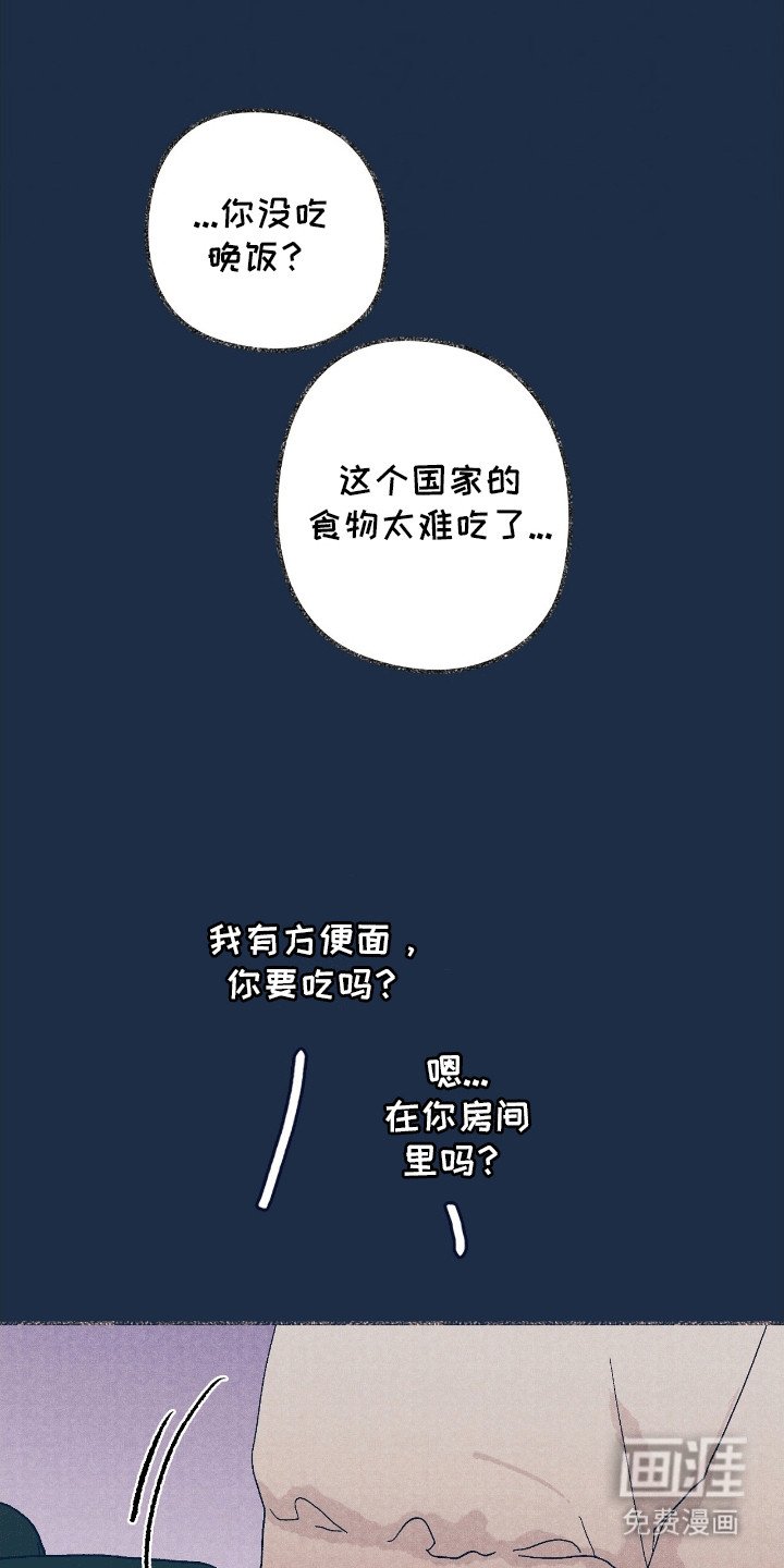 第13章：一起回家（完结）