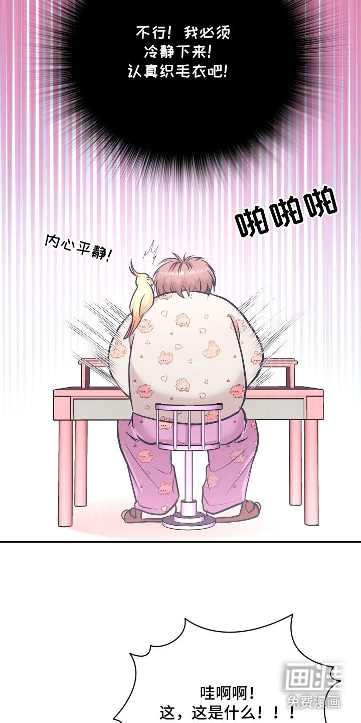 第10章： 针织毛衣