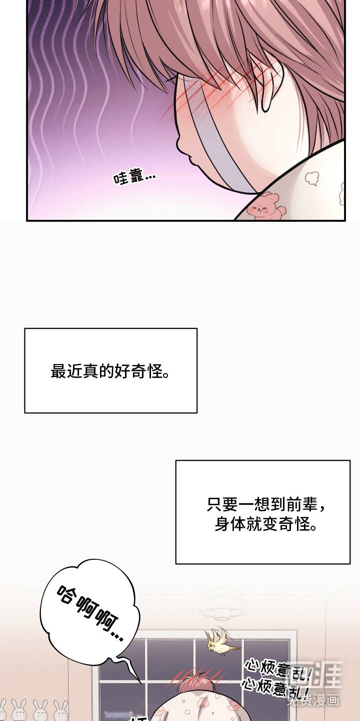 第11章：幻想