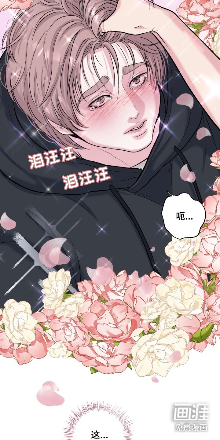 第2章：喜欢的类型