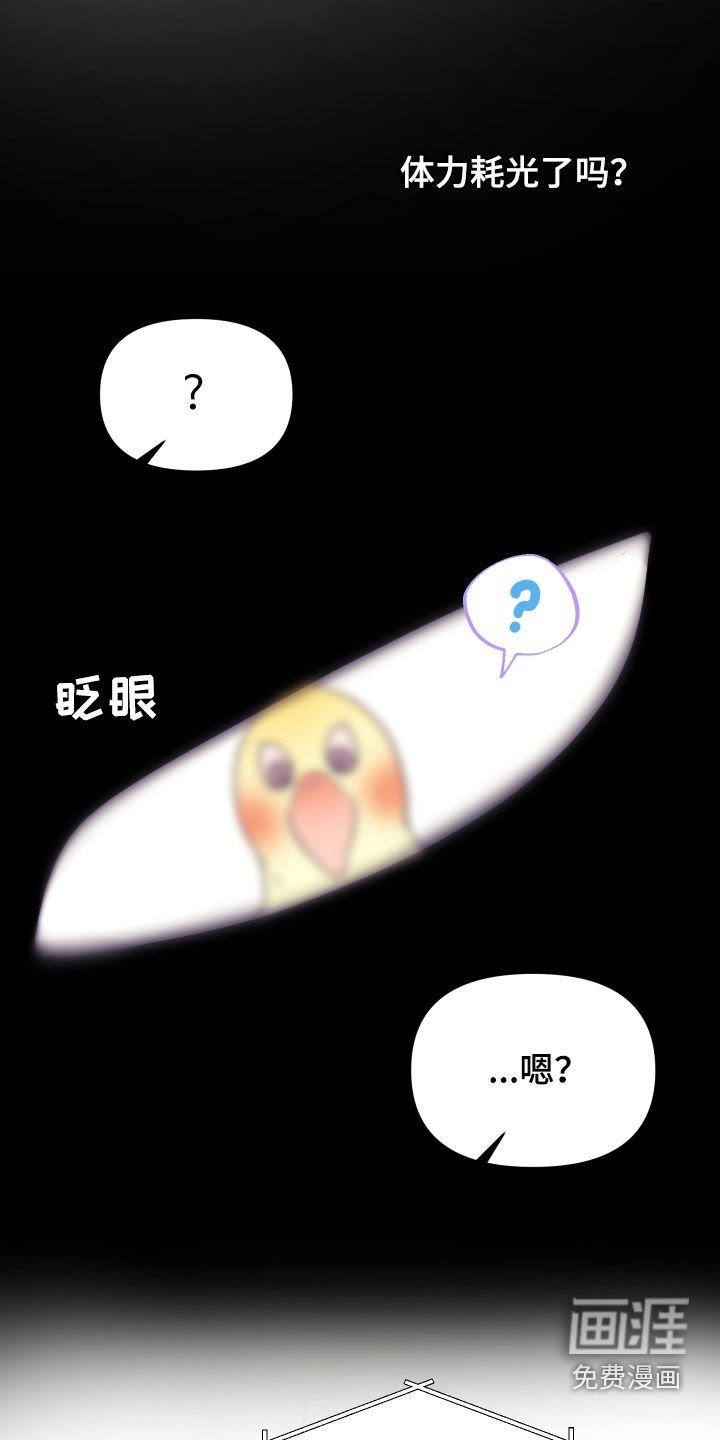 第25章：交往吧
