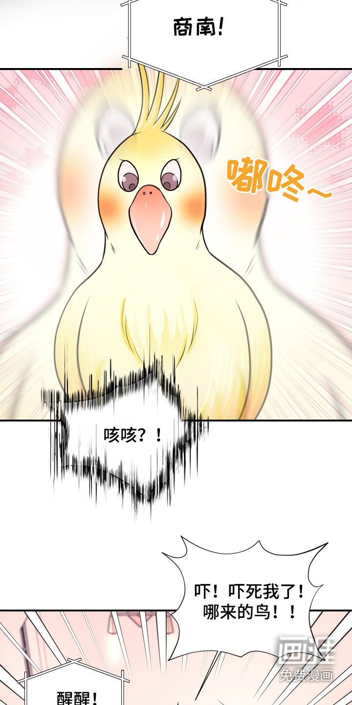 第25章：交往吧