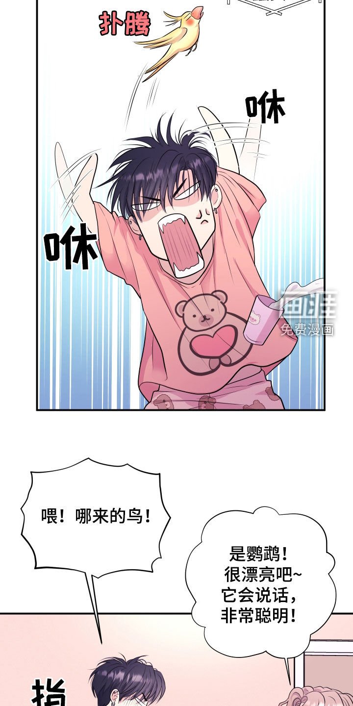 第25章：交往吧