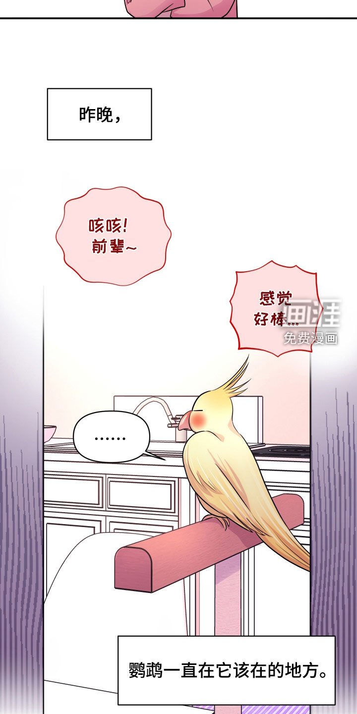 第25章：交往吧