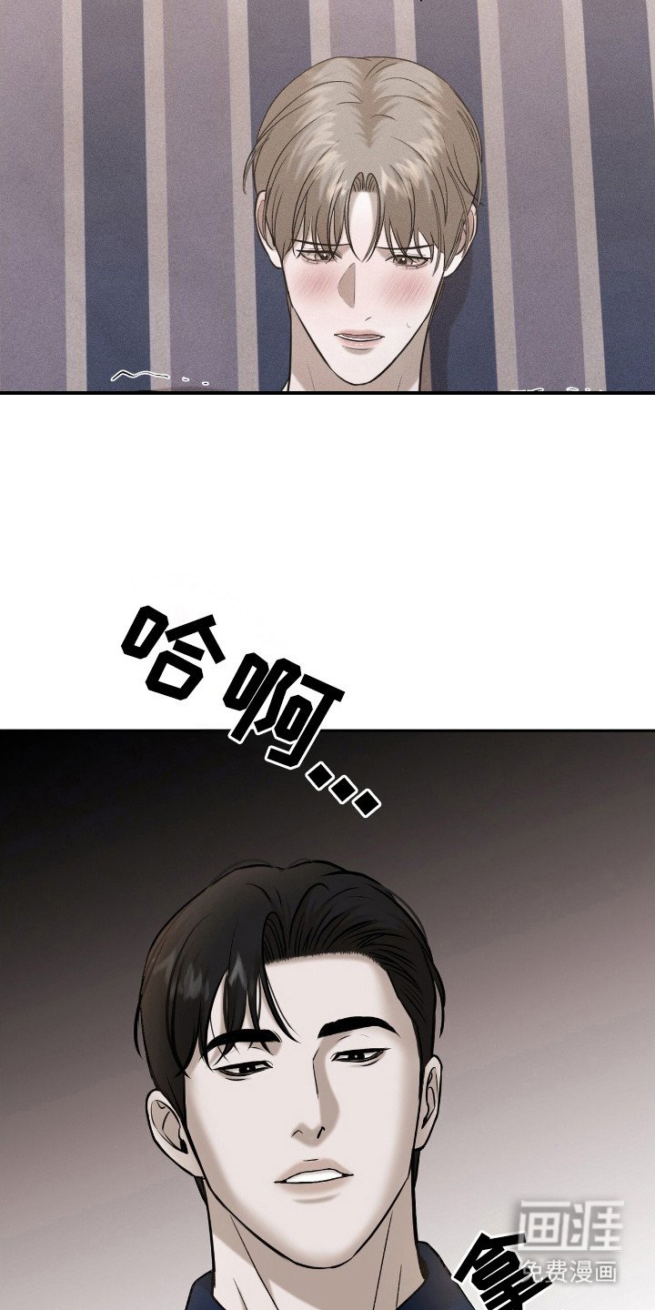 第12章：剃毛