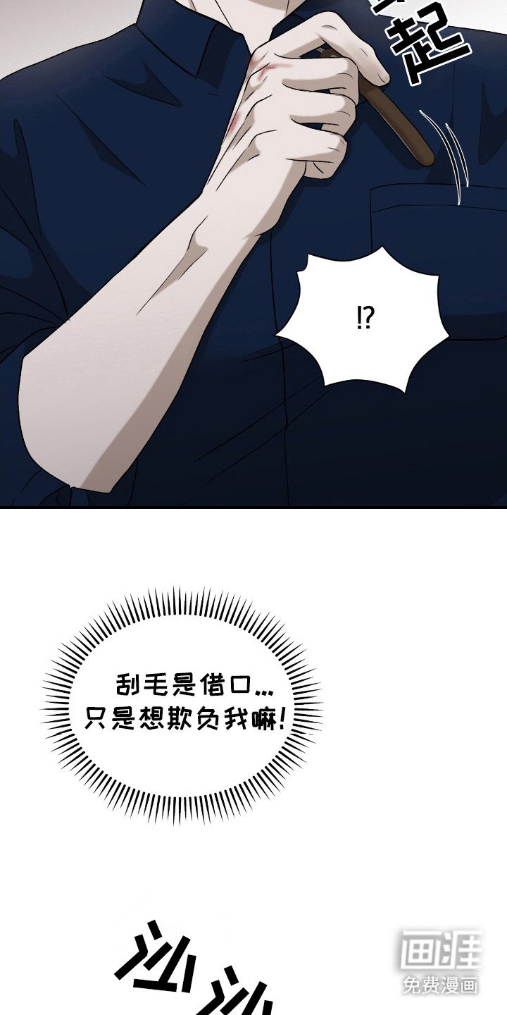 第12章：剃毛