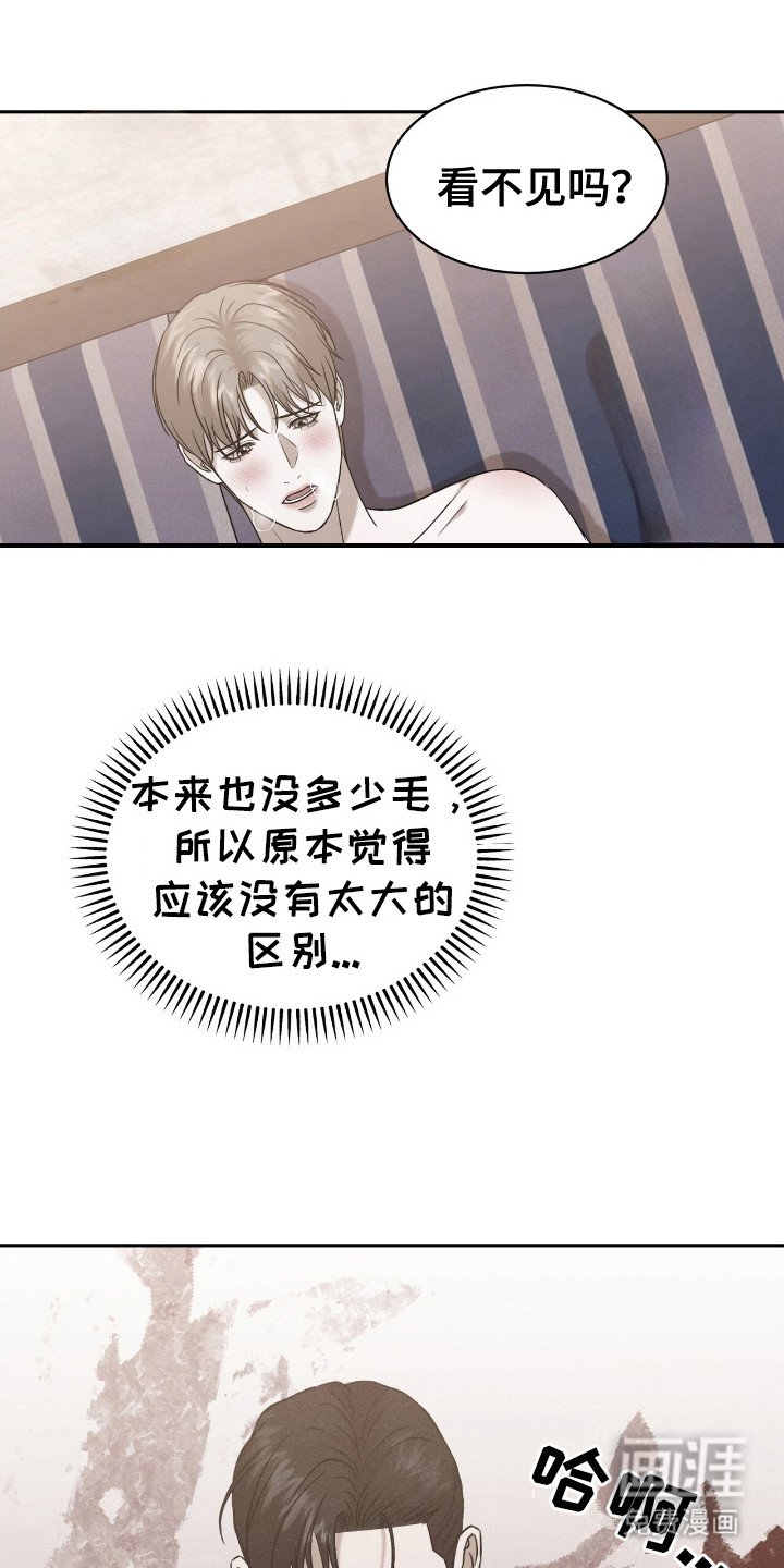 第12章：剃毛