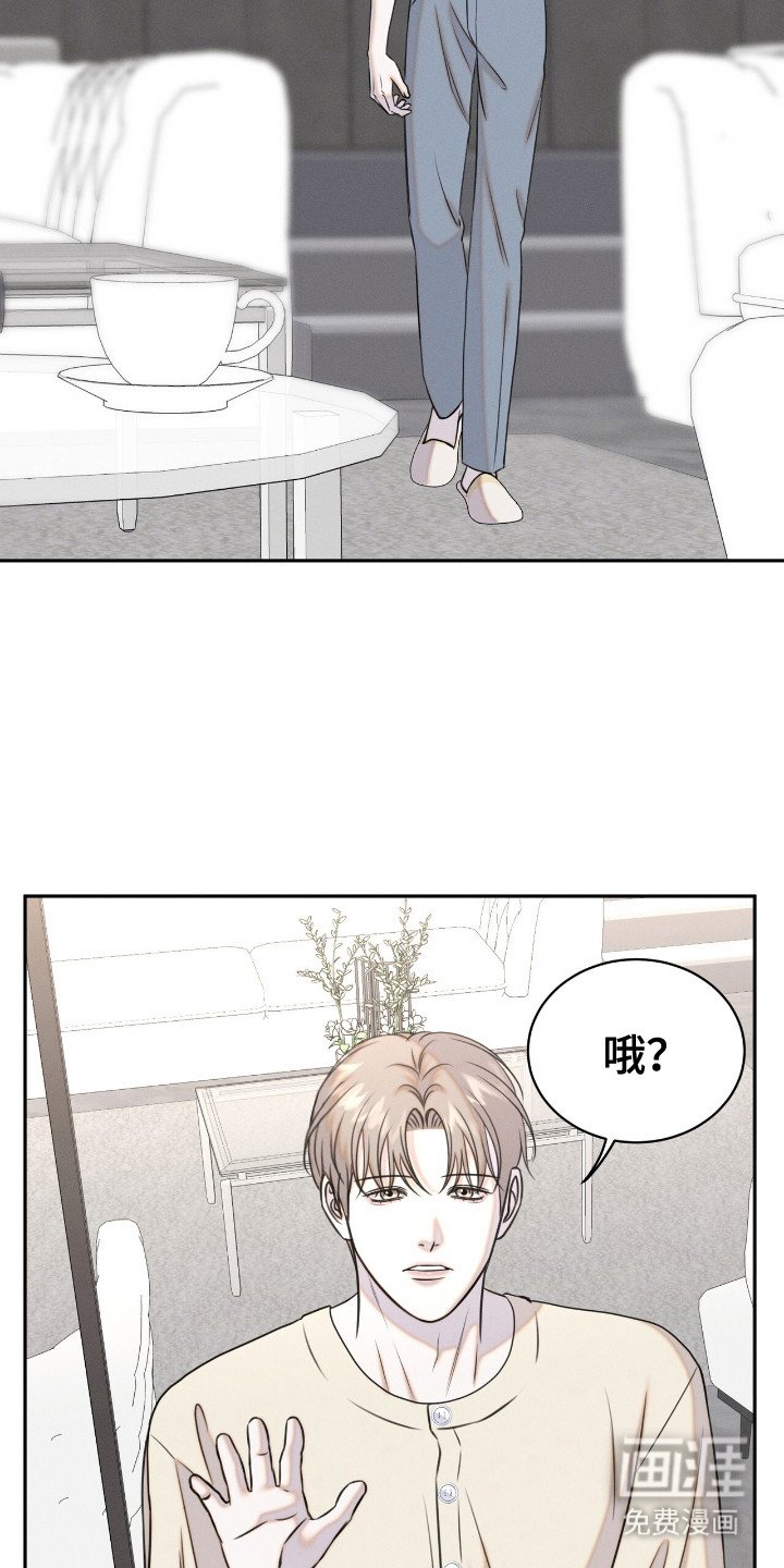 第20章： 动物们