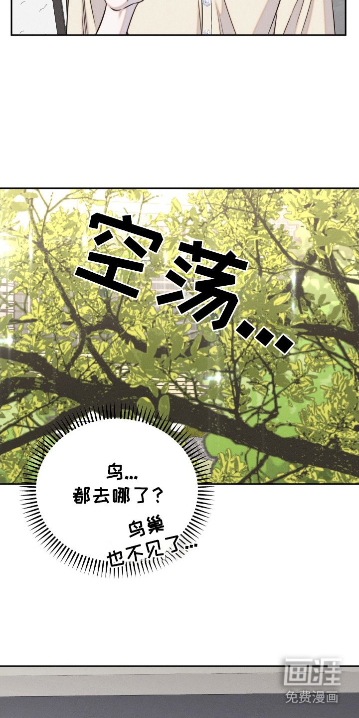 第20章： 动物们