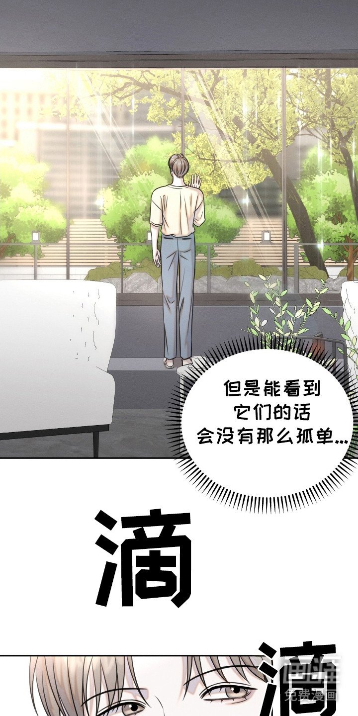 第20章： 动物们