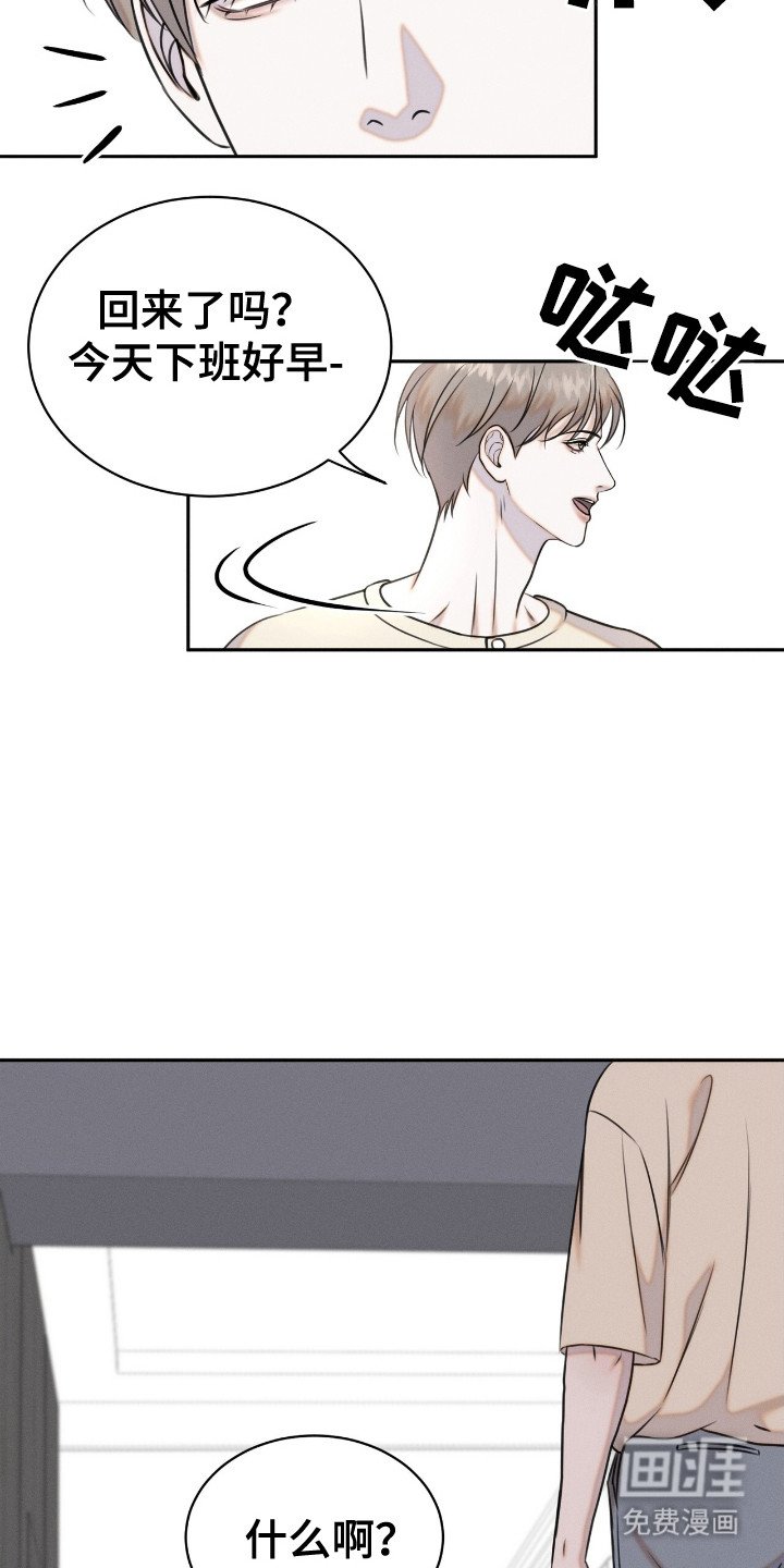 第20章： 动物们