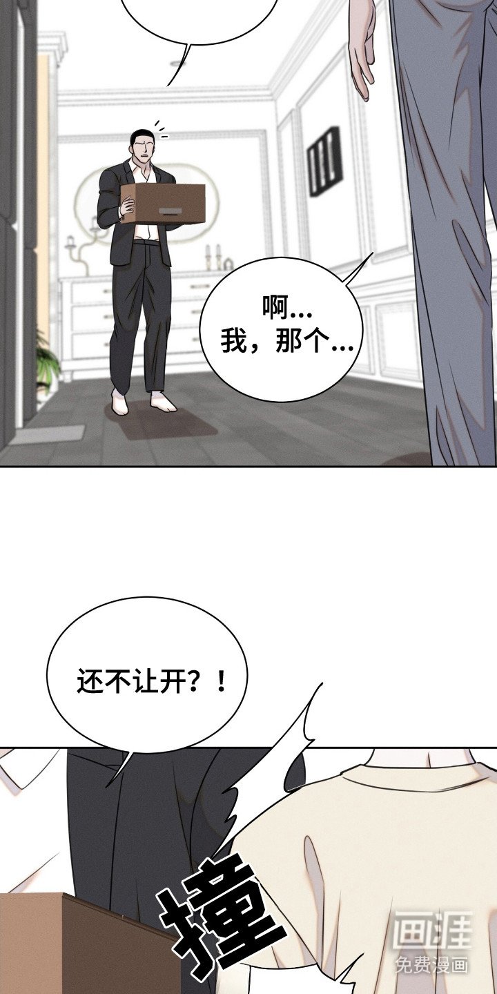 第20章： 动物们