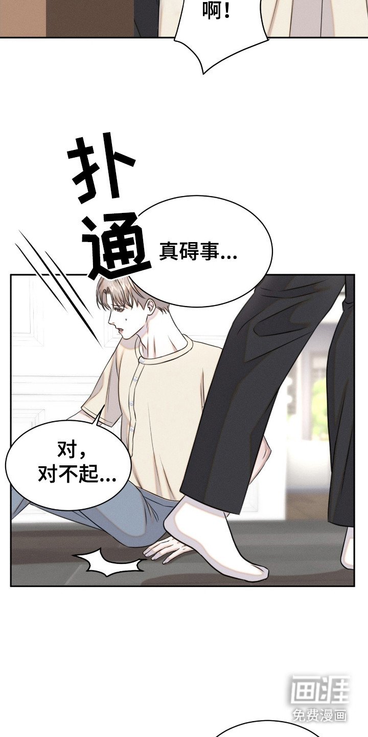第20章： 动物们