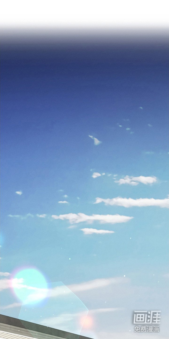 第20章： 动物们