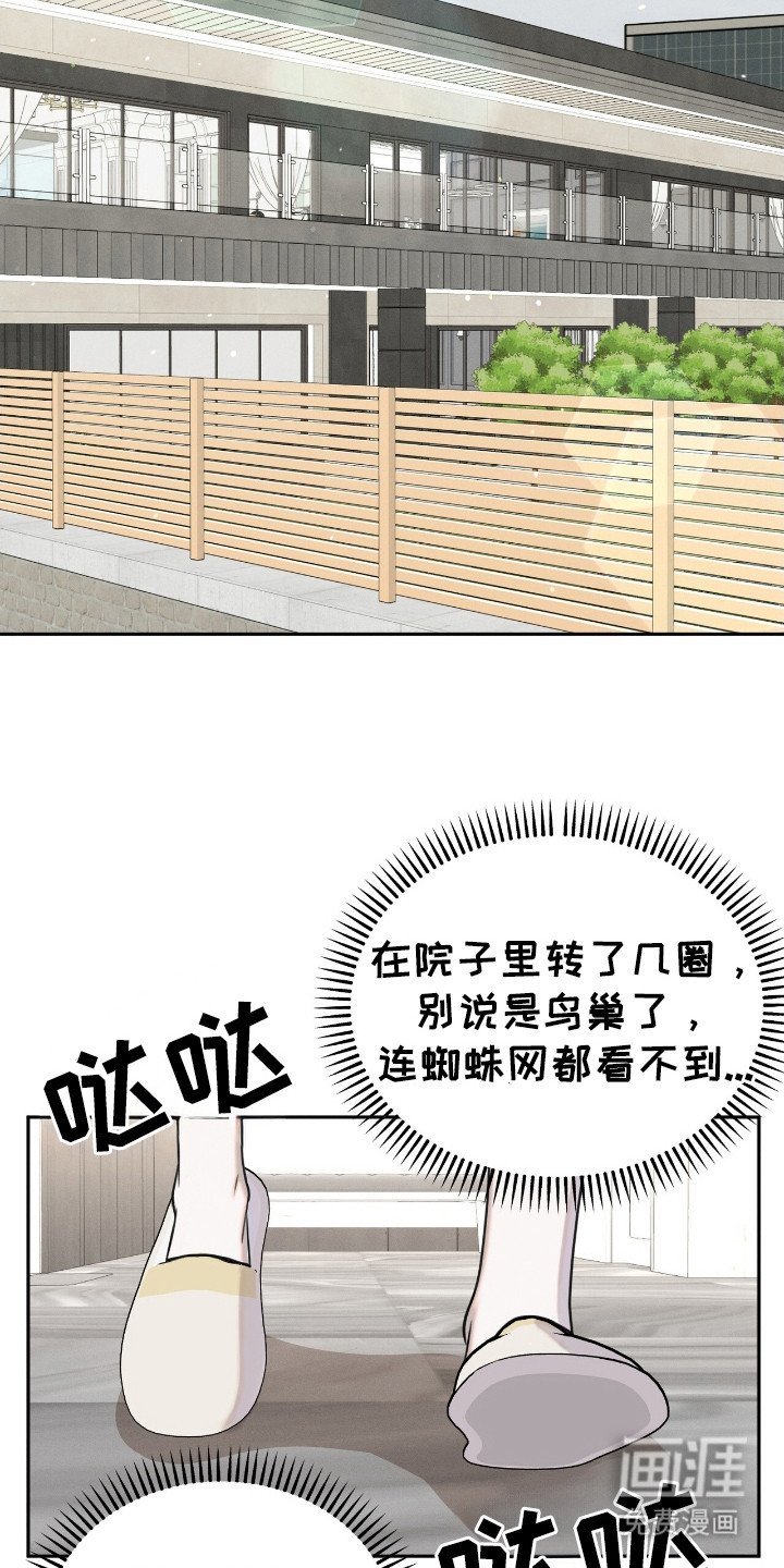 第20章： 动物们
