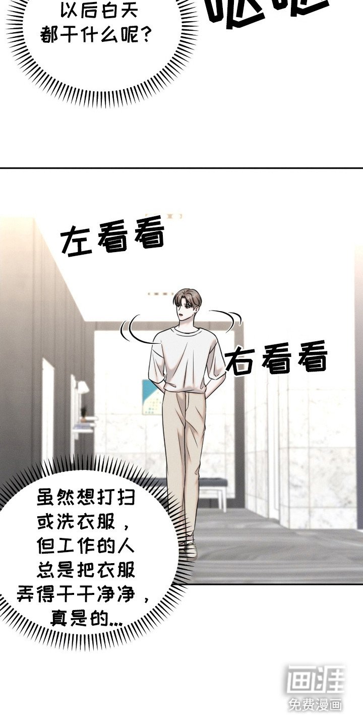 第20章： 动物们