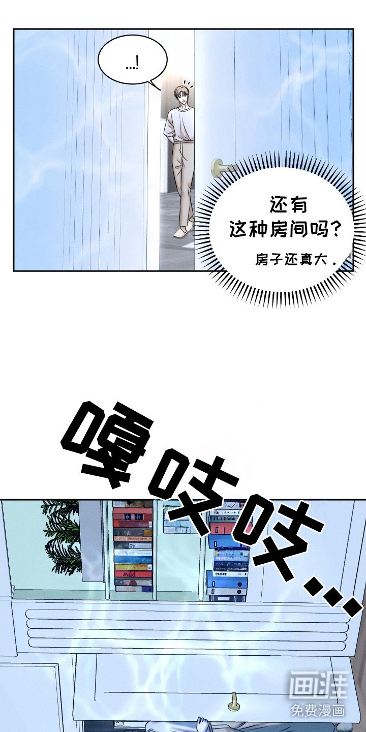 第20章： 动物们