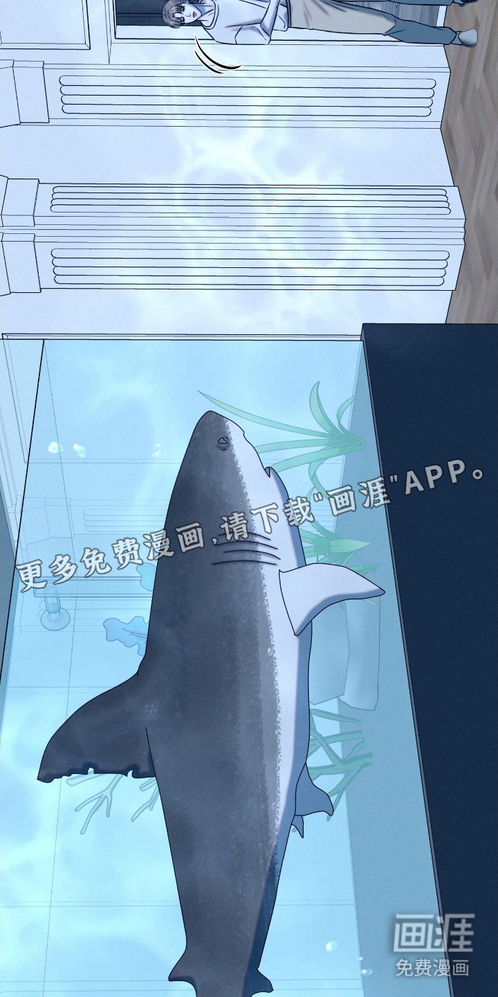 第20章： 动物们