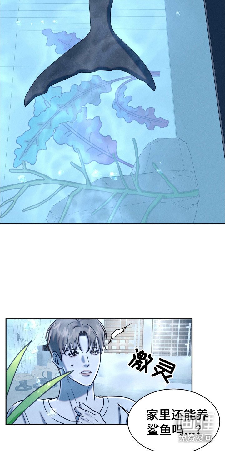 第20章： 动物们