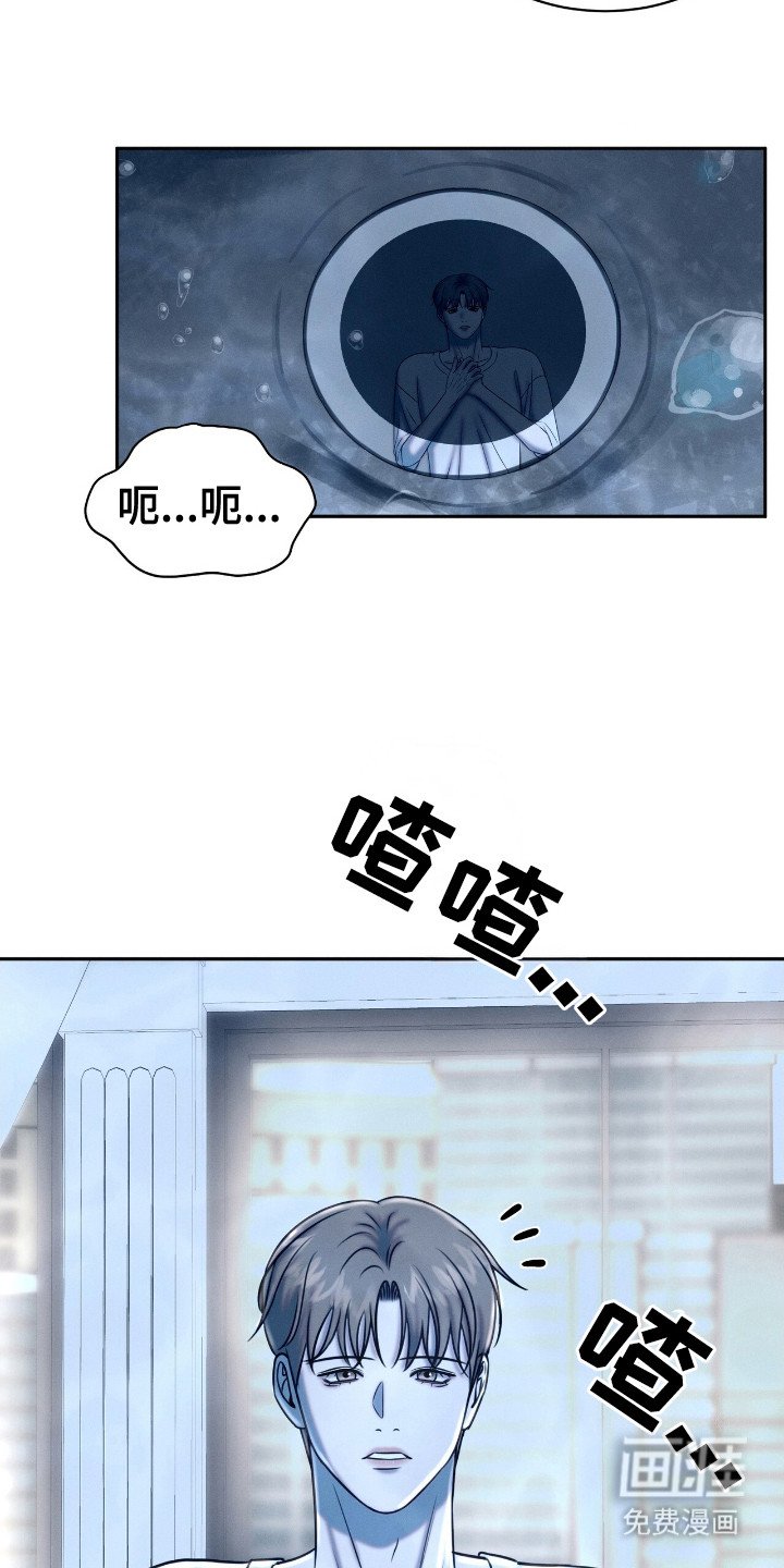 第20章： 动物们